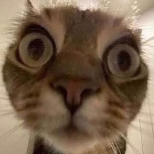 Meet your Posher, Elia